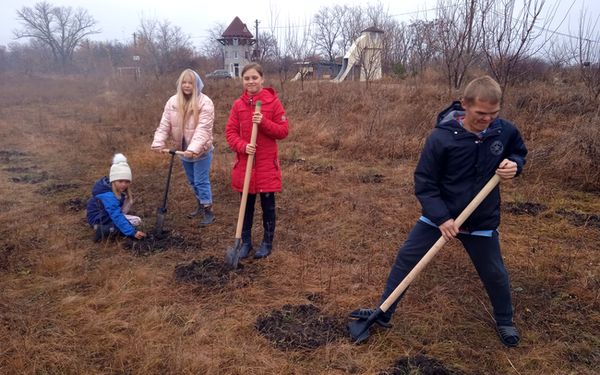 A pine forest was laid in the children's eco-village in Ukrainka