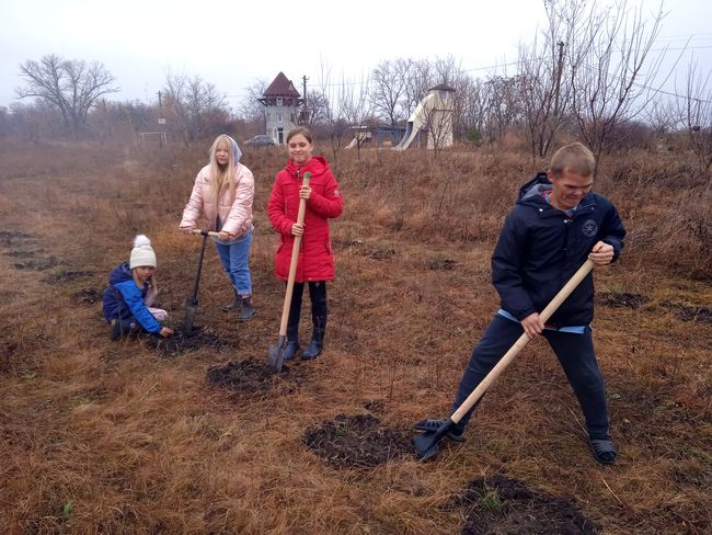 У дитячому екоселі в Українці закладено сосновий ліс