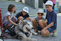 Запорізькі особливі діти вирушили у подорож Карпатами у супроводі собак-реабілітологів (ФОТО)