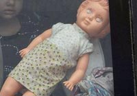 Убийство приемных детей: луганская милиция нашла тело второго ребенка, убитого матерью-героиней